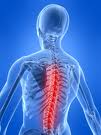 New Treatment for Low Back Pain<br />
